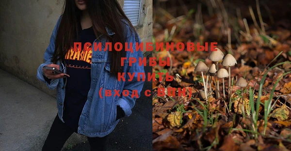 метамфетамин Касимов